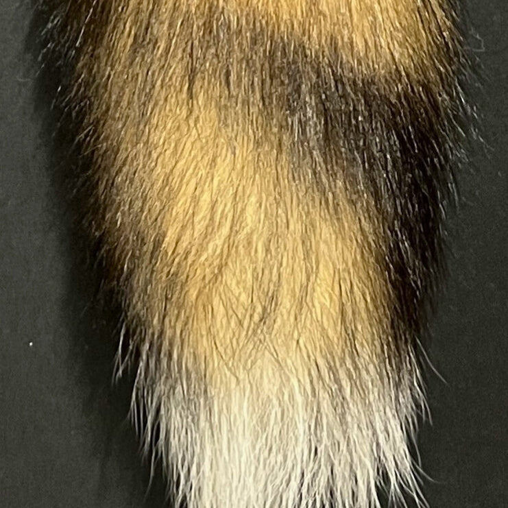 Red Fox Tail Keychain