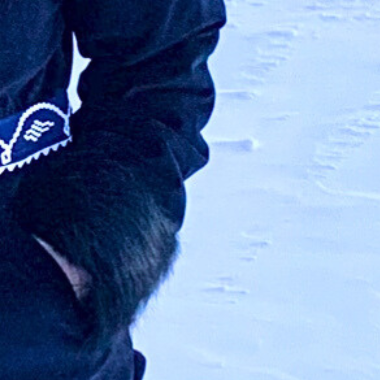 Contemporary U-Style Classic Parka