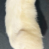Rabbit Foot Keychain