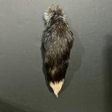 Silver Fox Tail Jumbo