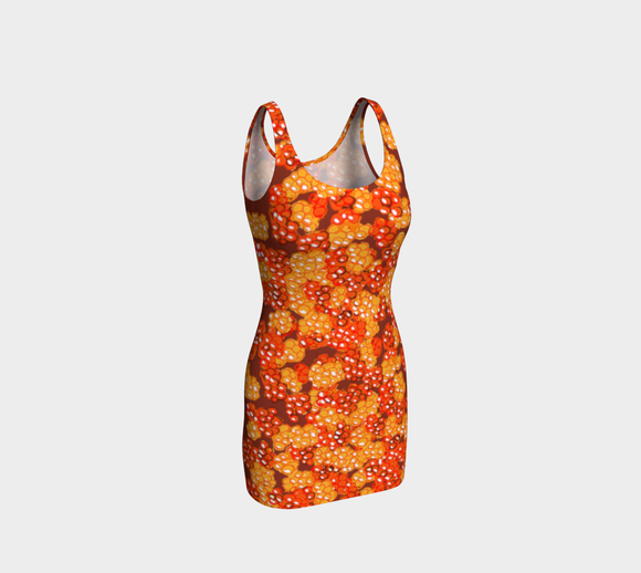 Aqpik(Salmonberry) Bodycon Dress